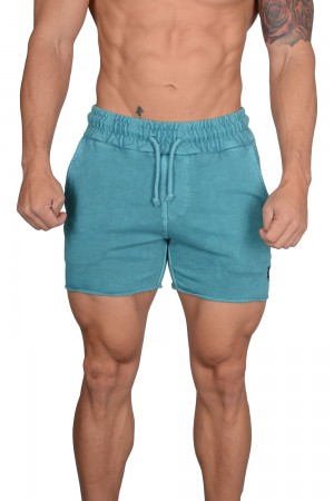 Aqua Young LA 102 Bodybuilding French Terry Shorts NZ | 5948317-RU