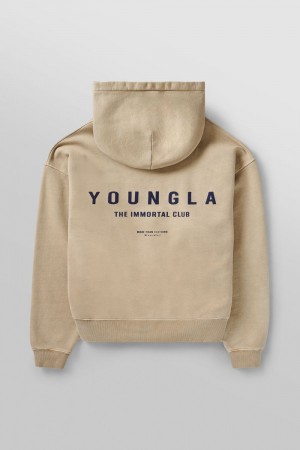 Beige Young LA 533 - Immortal Club Hoodies NZ | 1850639-RL