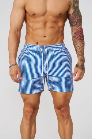 Blue Young LA 1056 - Striped Swim Shorts NZ | 8409315-AW