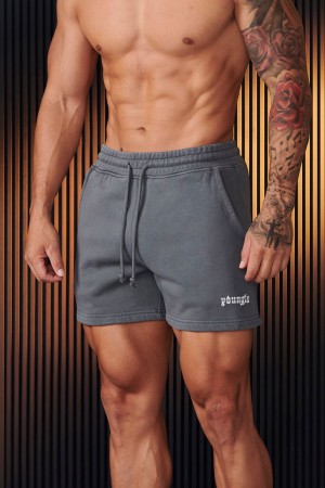 Grey Young LA 107 - Chrome Shorts NZ | 8613479-UC