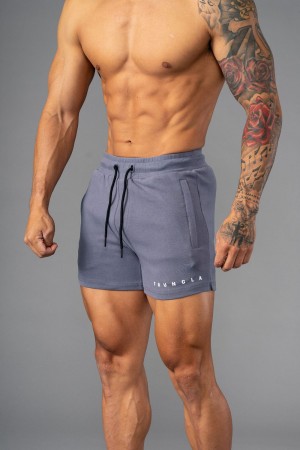 Grey Young LA 113 The Perfect Short Shorts NZ | 5678314-CM