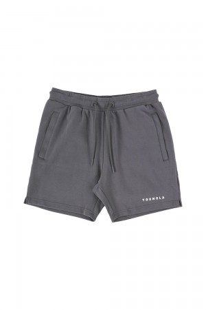 Grey Young LA 118 The Perfect Shorts NZ | 3164792-MU