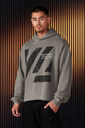 Grey Young LA 568 - Icon Washed Hoodies NZ | 8739405-UJ