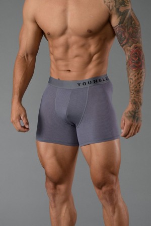 Grey Young LA 703 Goat Briefs NZ | 7453126-NU