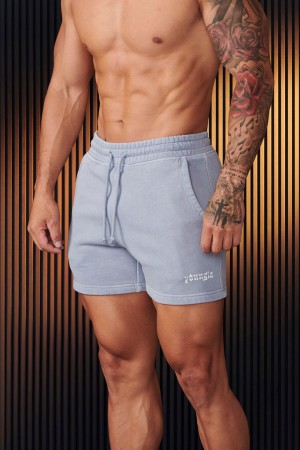 Light Grey Young LA 107 - Chrome Shorts NZ | 6408251-BU