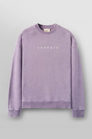 Purple Young LA 5099 - Love Sets - Crewnecks NZ | 4290567-YH