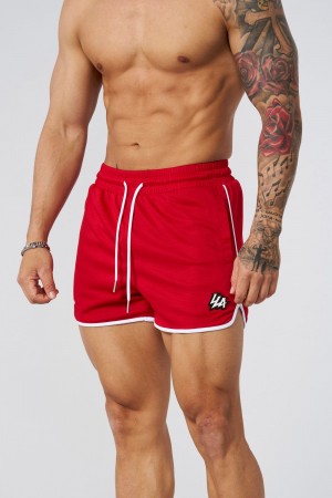 Red Young LA 1037 - Mesh Bodybuilding Shorts NZ | 7259634-QP