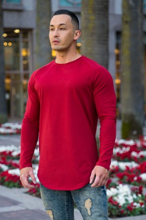 Red Young LA 410 Perfect Raglan Long Sleeve Shirts NZ | 6530289-BU