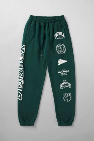 Teal Young LA 204 - Immortal Killer Joggers NZ | 2956871-QH