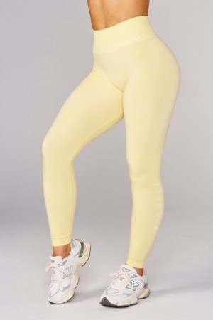 Yellow Young LA W220 Seamless Core Legging Spring 24' NZ | 0578694-SV