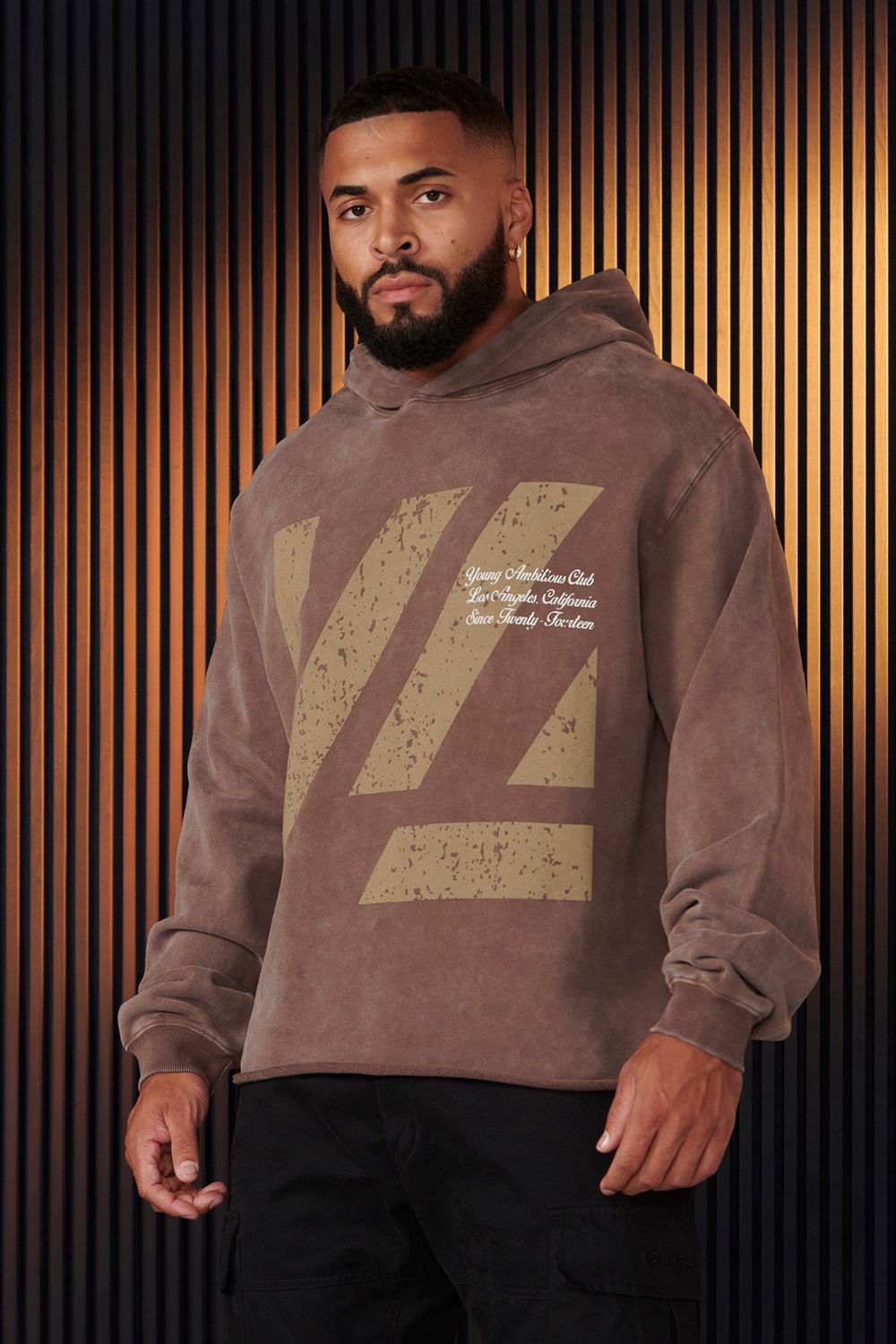 Brown Young LA 568 - Icon Washed Hoodies NZ | 1637904-DN