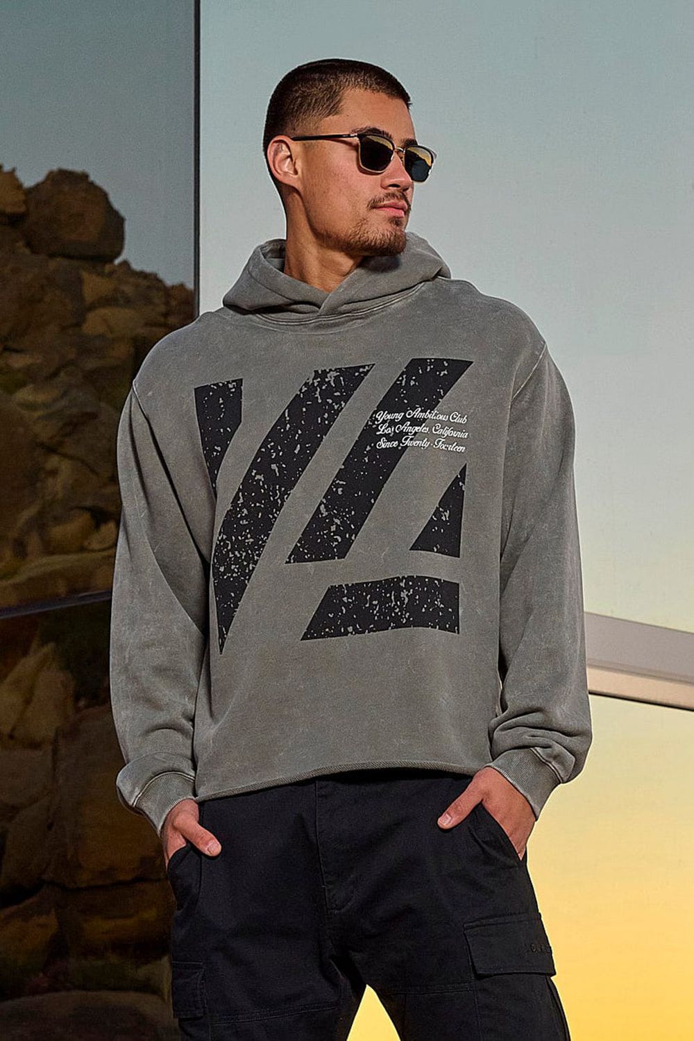 Grey Young LA 568 - Icon Washed Hoodies NZ | 8739405-UJ