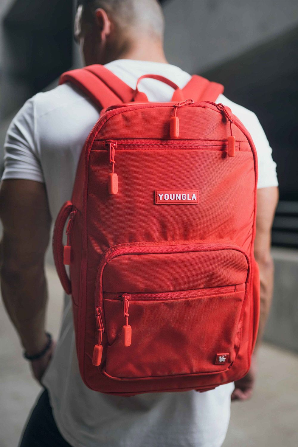 Red Young LA 730 Expedition Backpacks NZ | 2476591-NW